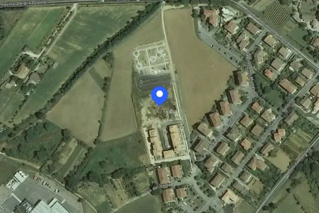 insertion image
