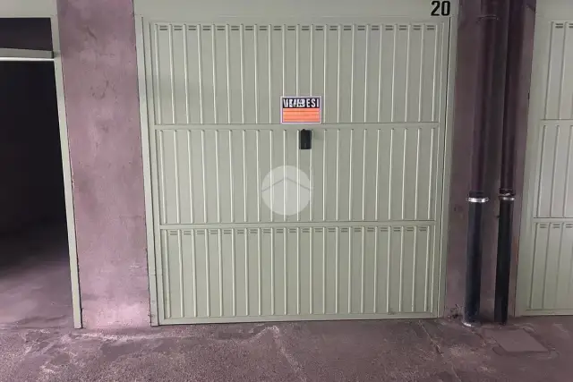 insertion image