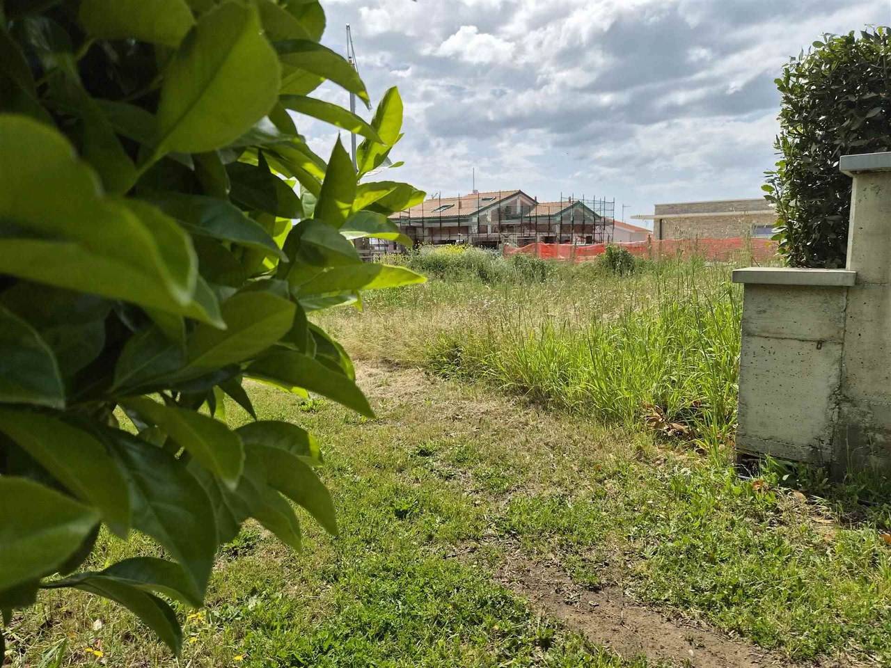 immagine annuncio 1 di 9