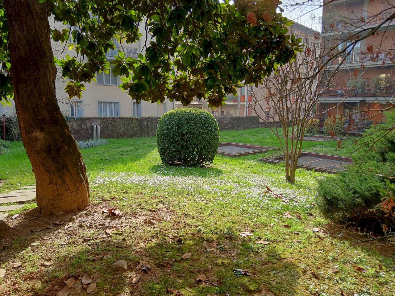 immagine annuncio 5 di 15