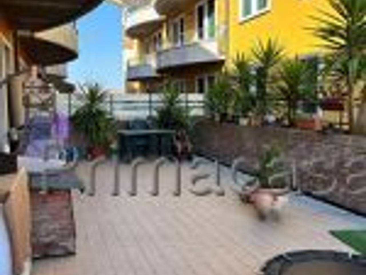 immagine annuncio 7 di 8