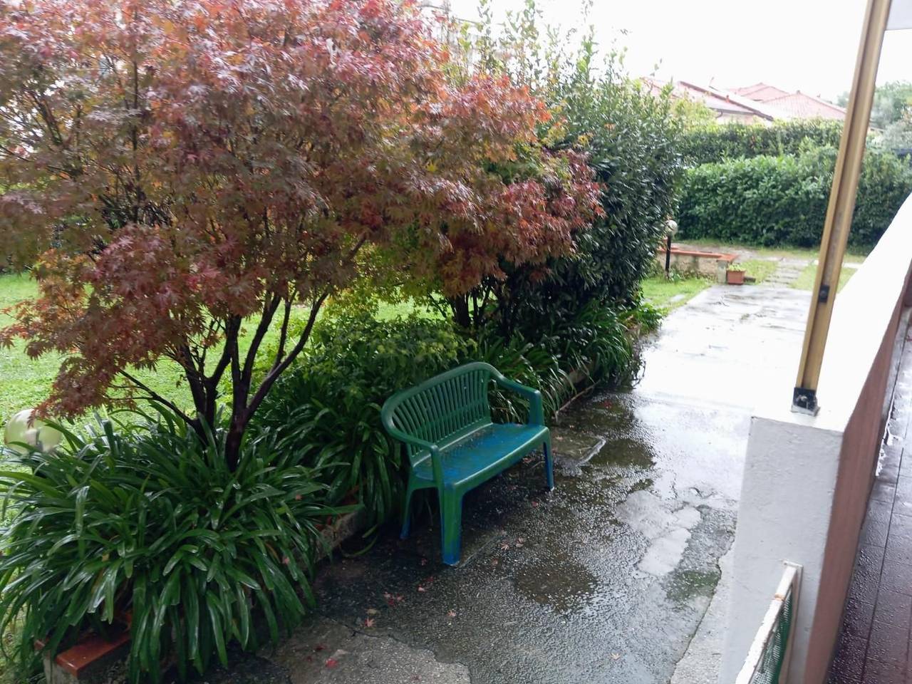 immagine annuncio 5 di 7