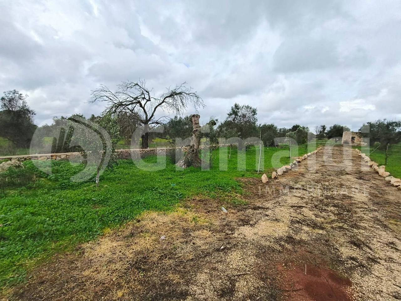 immagine annuncio 8 di 9