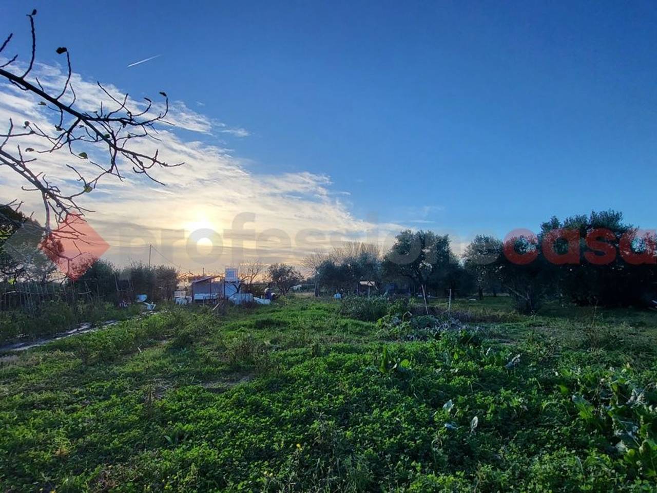 immagine annuncio 6 di 11