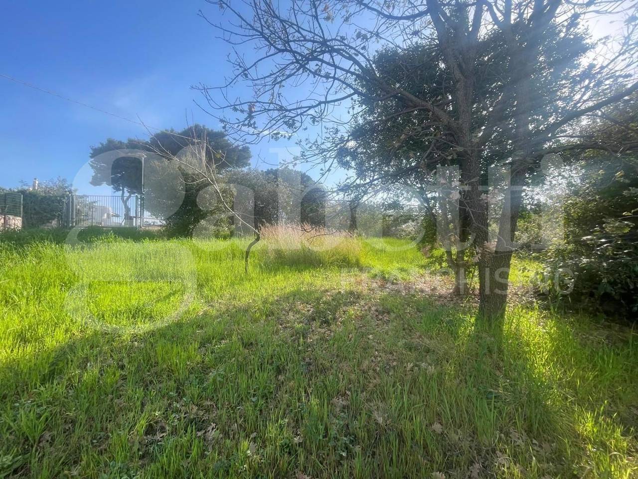 immagine annuncio 5 di 12