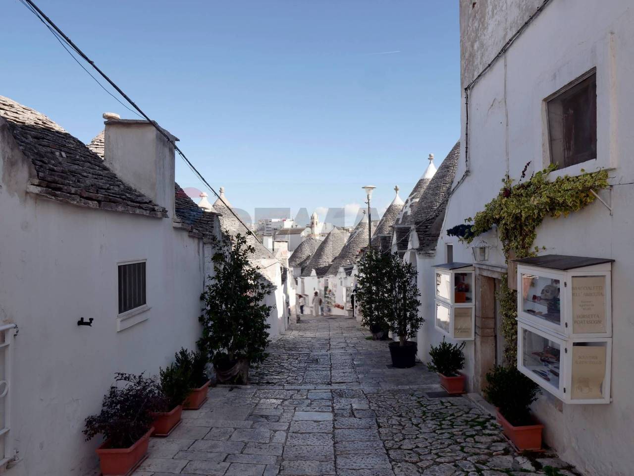 immagine annuncio 12 di 13