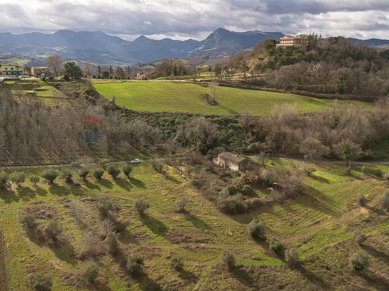 immagine annuncio 7 di 14