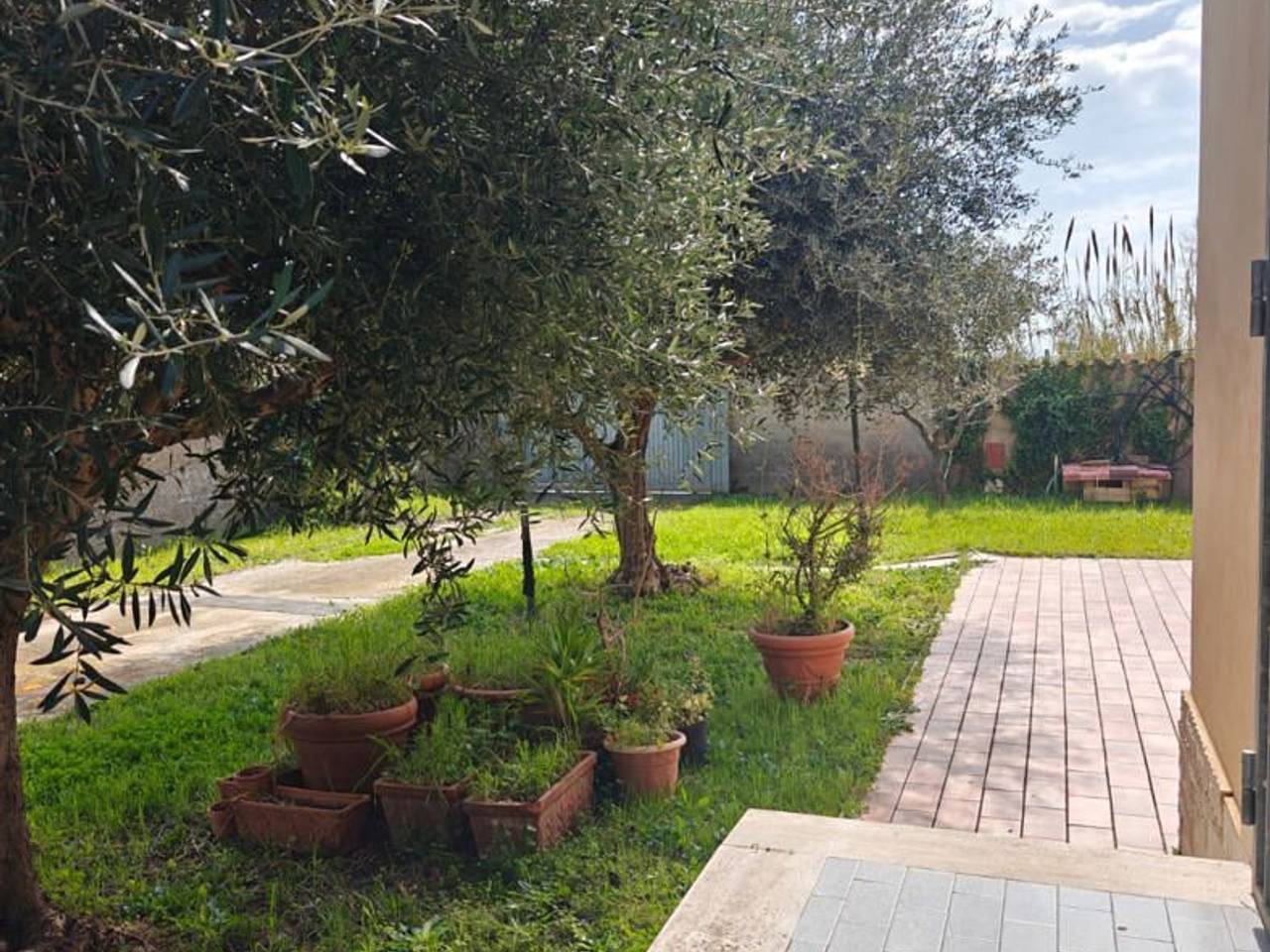 immagine annuncio 7 di 12