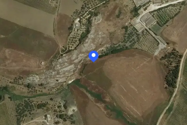 insertion image