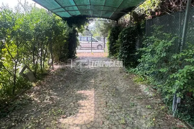 insertion image
