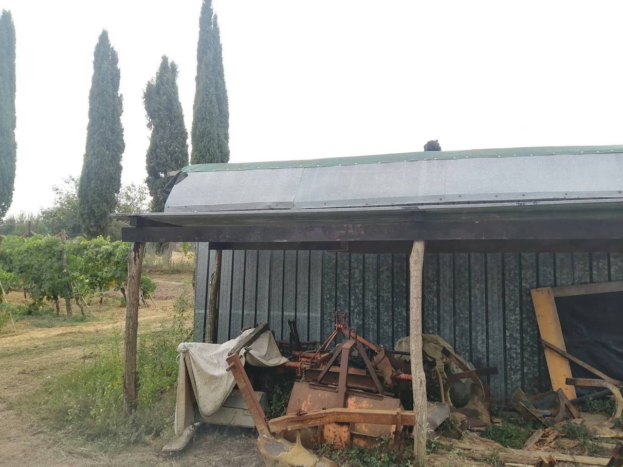 immagine annuncio 1 di 8