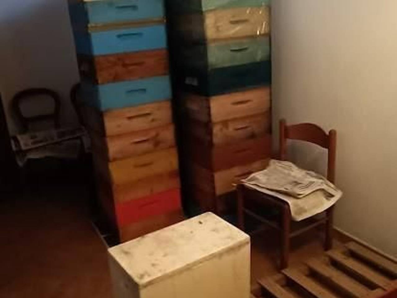 immagine annuncio 13 di 14