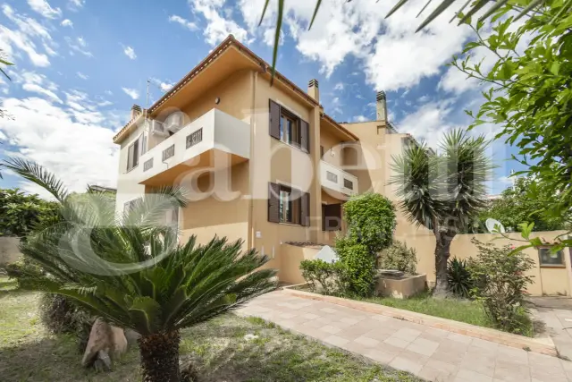 insertion image