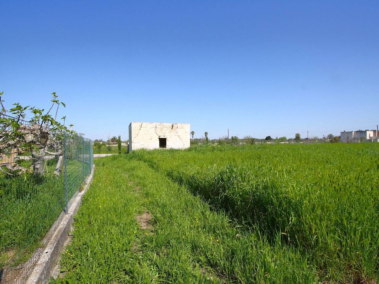 immagine annuncio 8 di 15