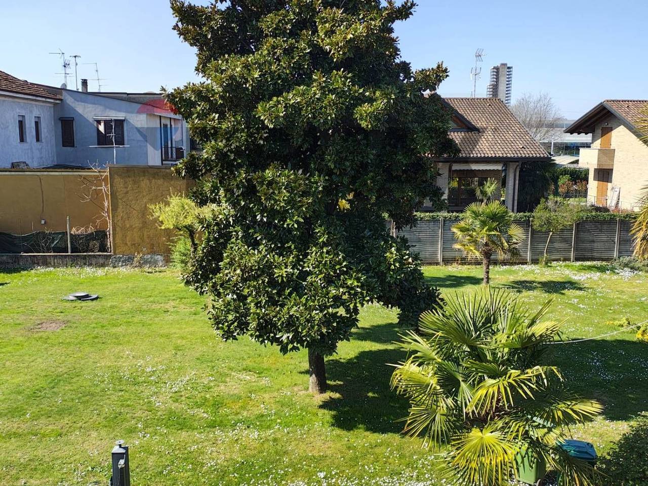 immagine annuncio 4 di 8