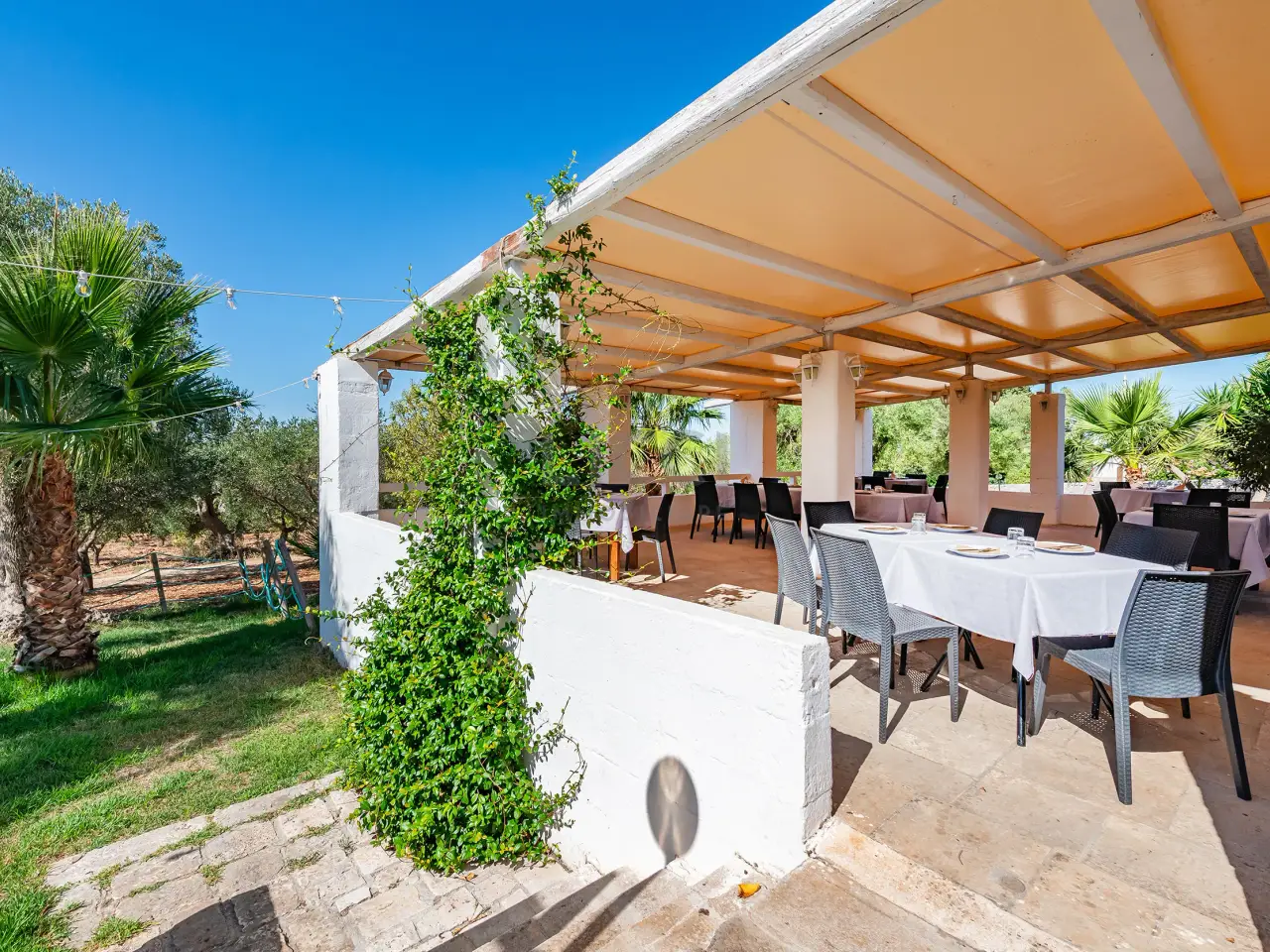 Ristorante in C.da C Ozzana 433, Monopoli, {3} - Foto 2
