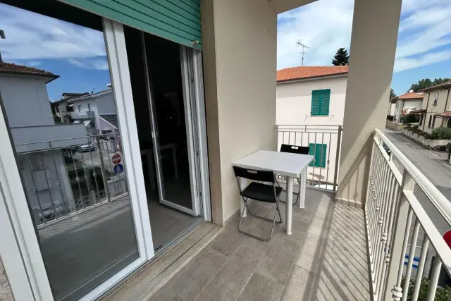 insertion image