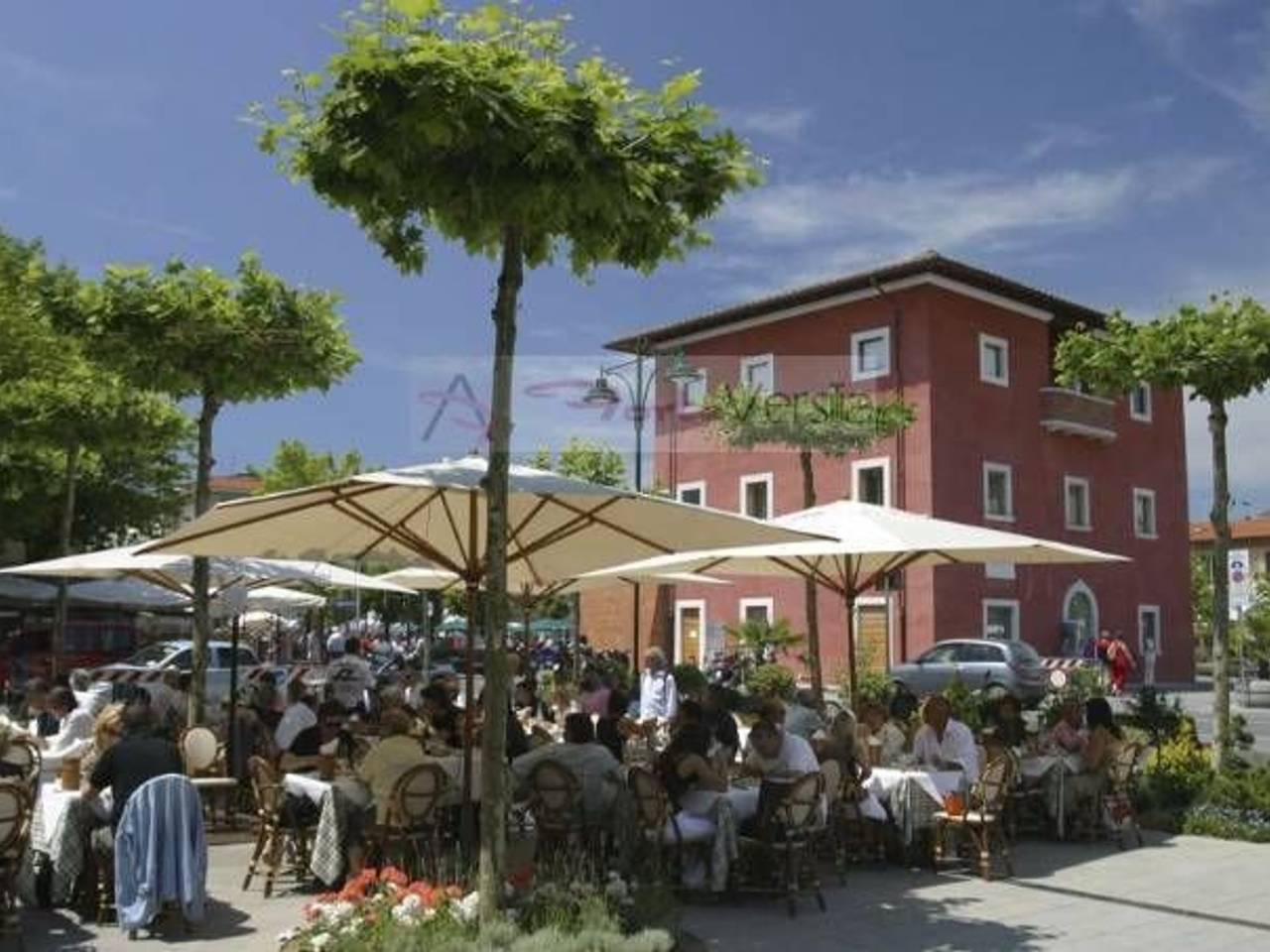 immagine annuncio 11 di 15