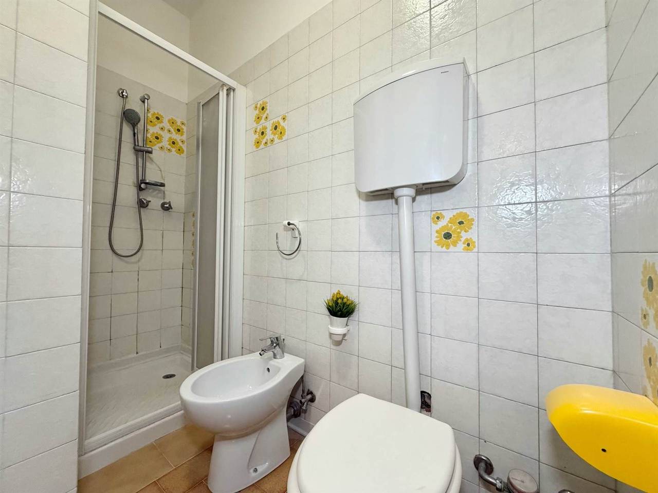 immagine annuncio 6 di 12