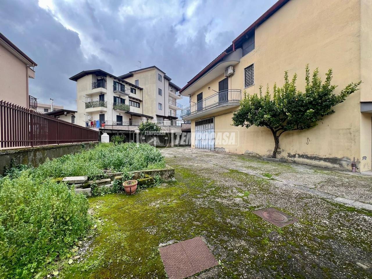 immagine annuncio 4 di 12