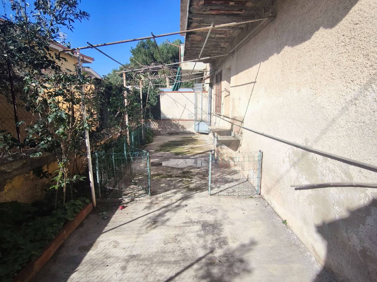 immagine annuncio 1 di 12