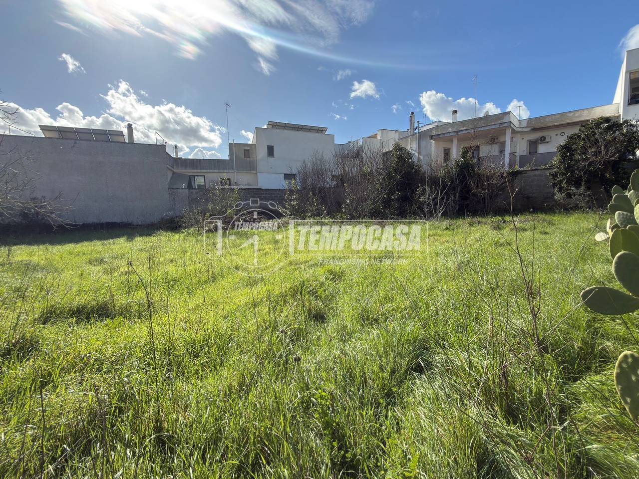 immagine annuncio 9 di 14