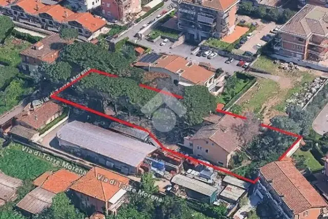 insertion image