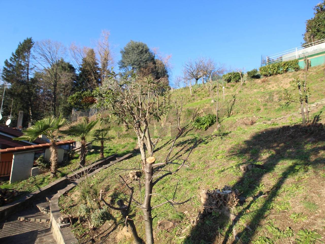 immagine annuncio 14 di 15