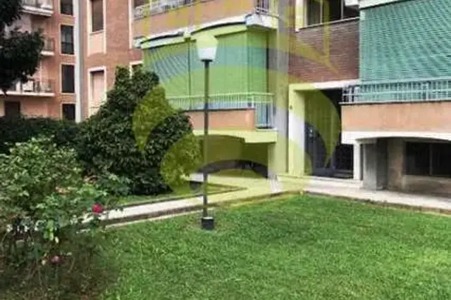 insertion image