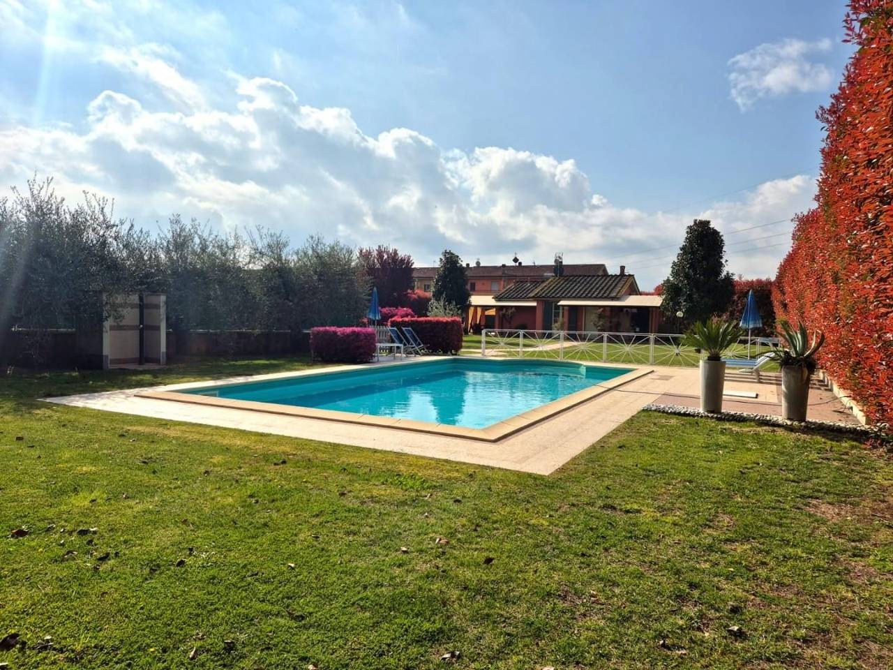 immagine annuncio 1 di 15