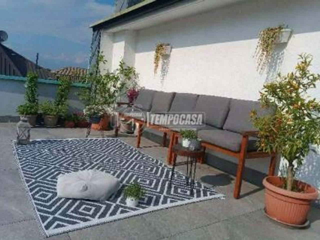 immagine annuncio 1 di 15