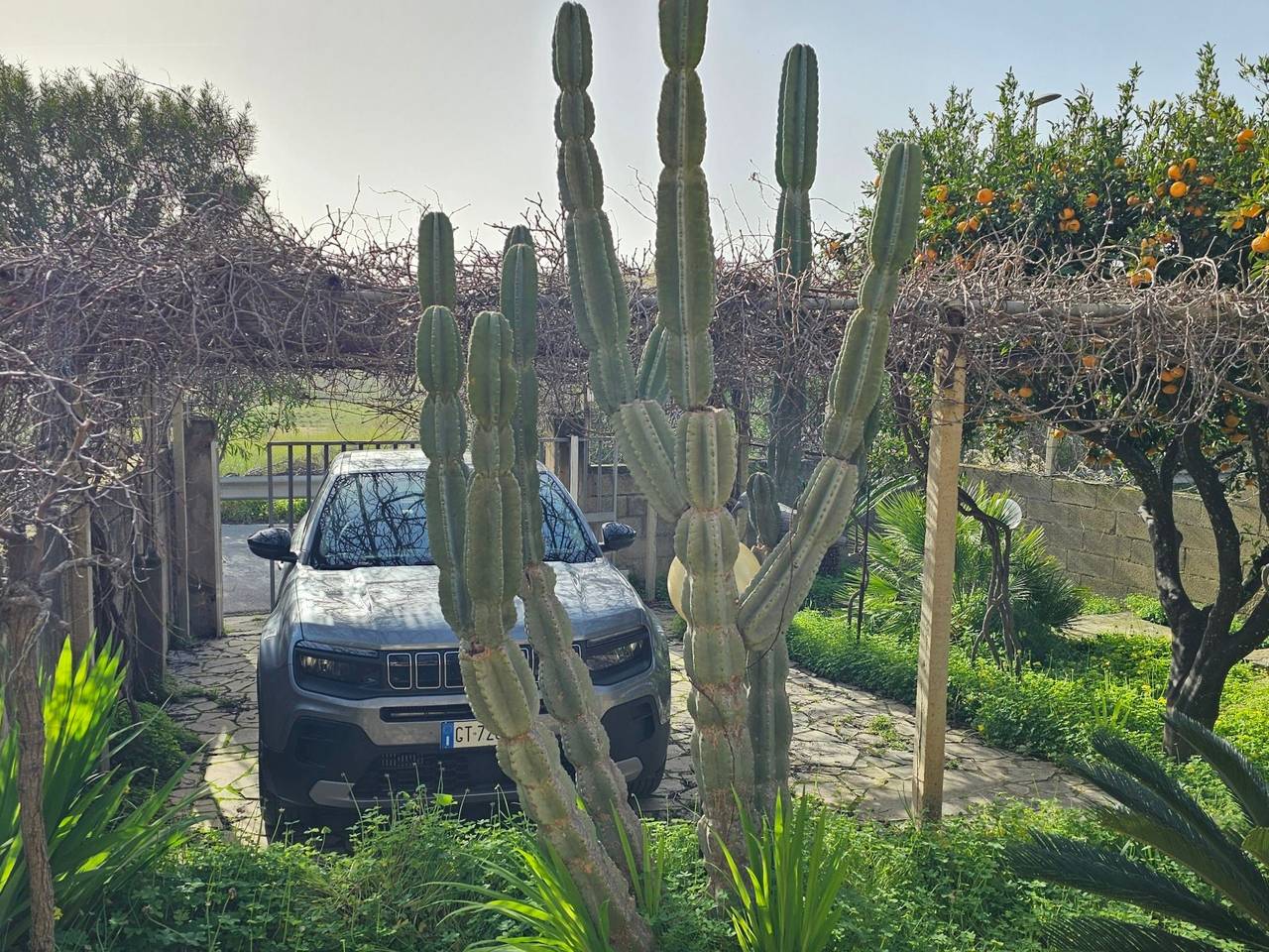 immagine annuncio 12 di 13