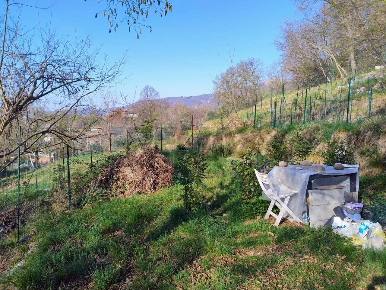 immagine annuncio 5 di 11