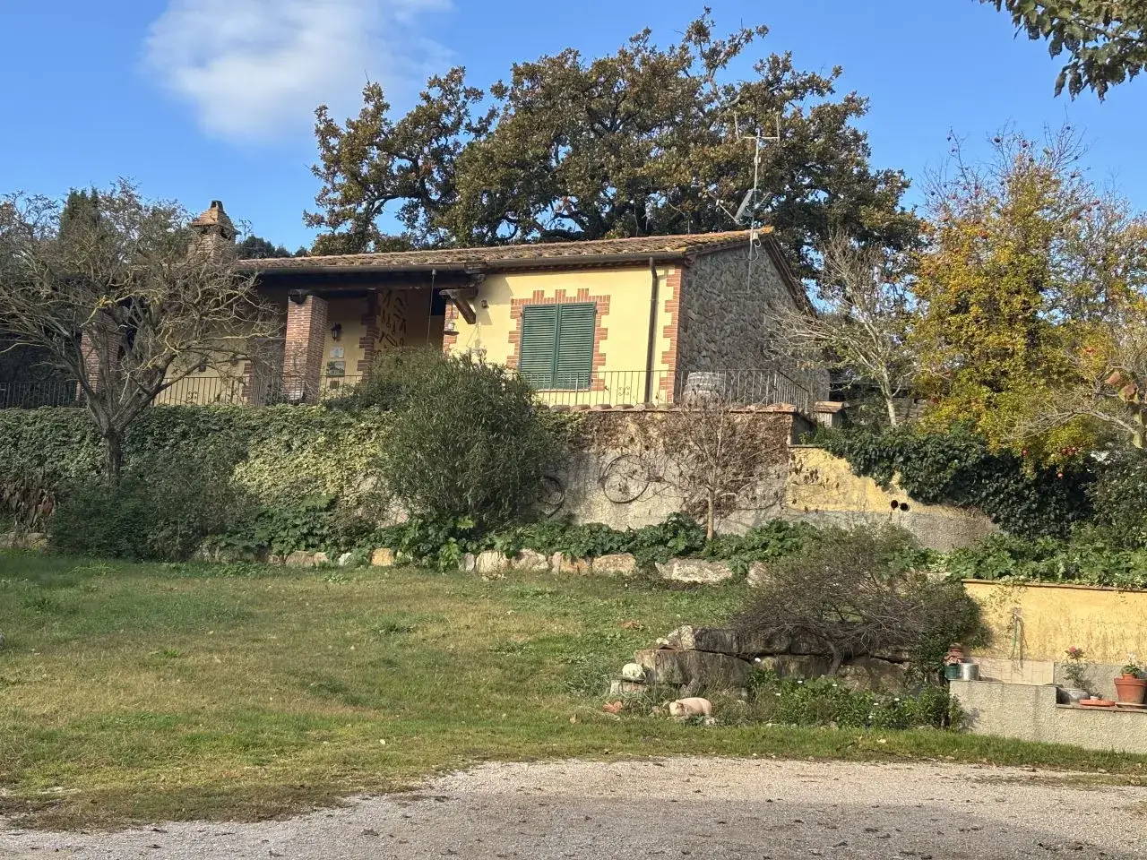Azienda agricola in Frazione Montorsaio 19, Campagnatico, {3} - Foto 1