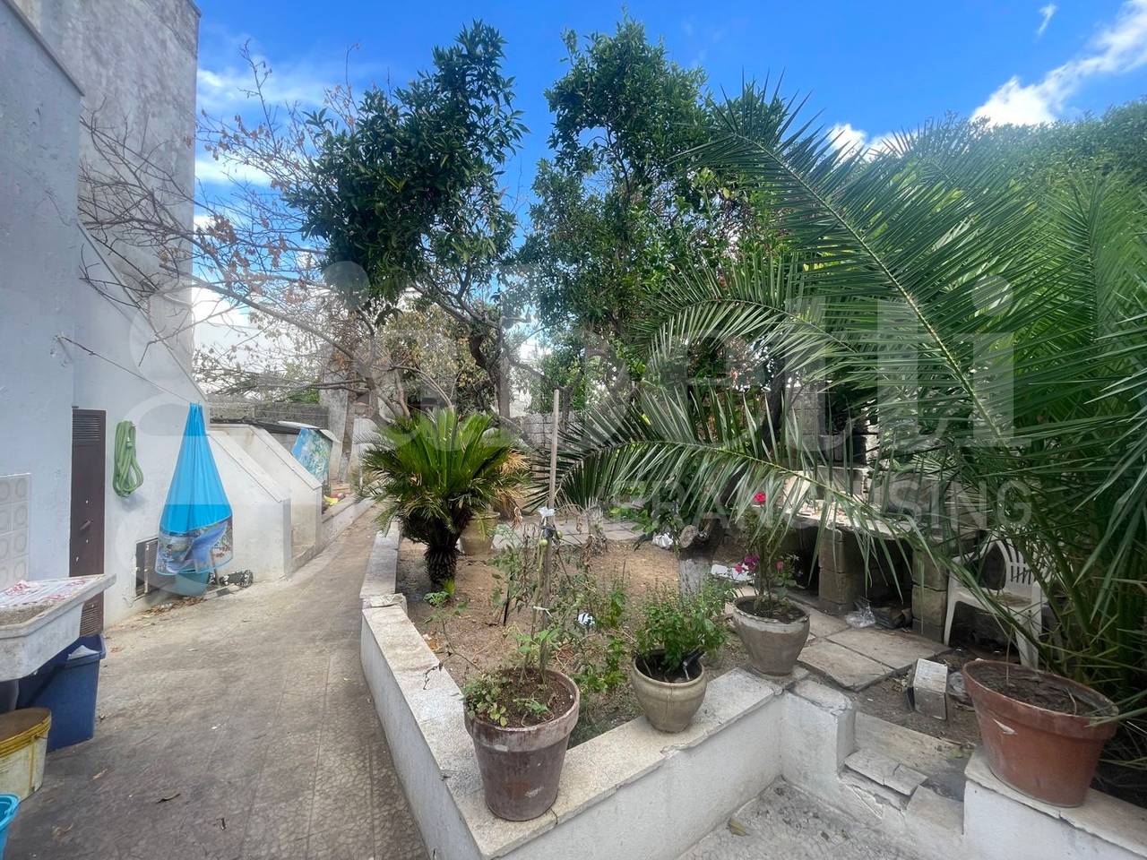 immagine annuncio 8 di 14