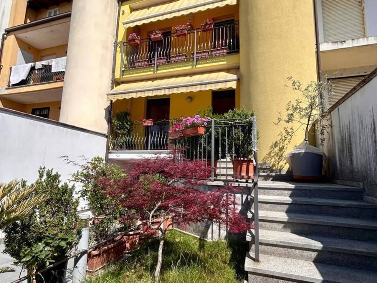 immagine annuncio 1 di 15