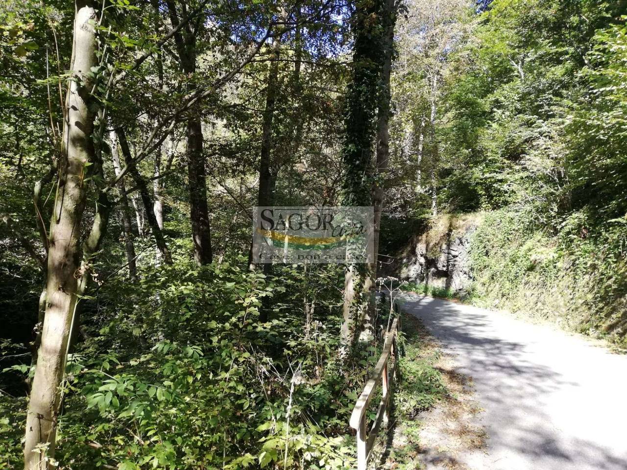 immagine annuncio 11 di 14