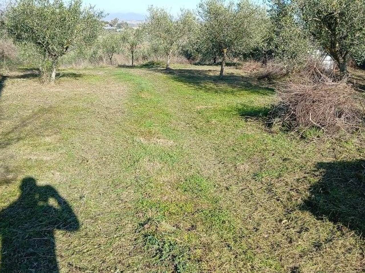 immagine annuncio 5 di 6