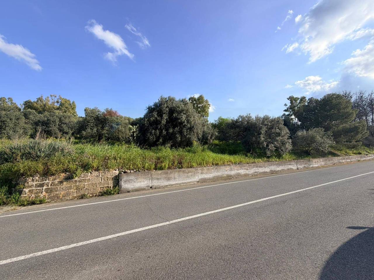 immagine annuncio 2 di 14