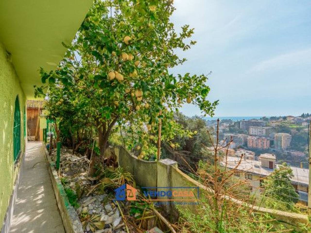 immagine annuncio 5 di 14