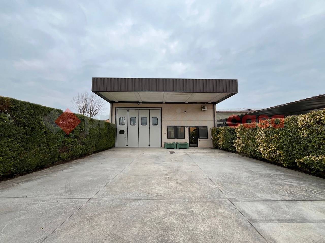 immagine annuncio 1 di 12