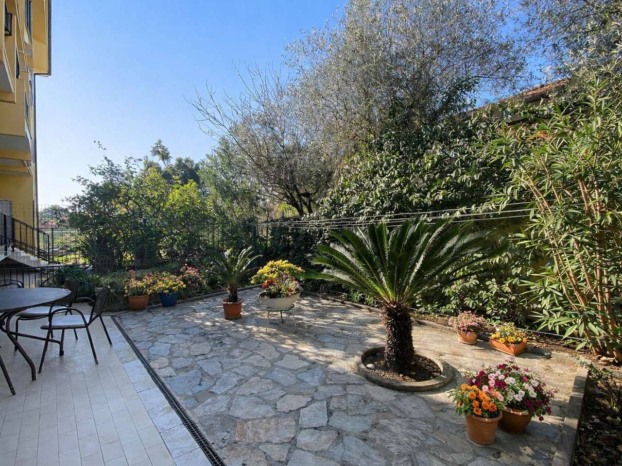 immagine annuncio 3 di 13