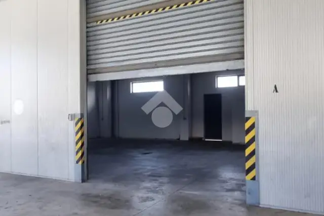 insertion image