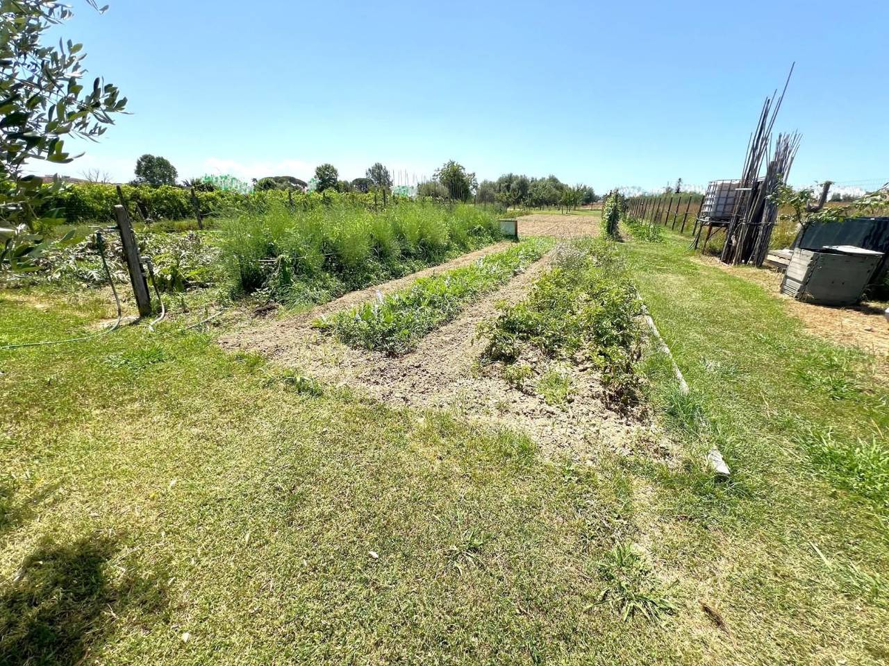 immagine annuncio 1 di 13