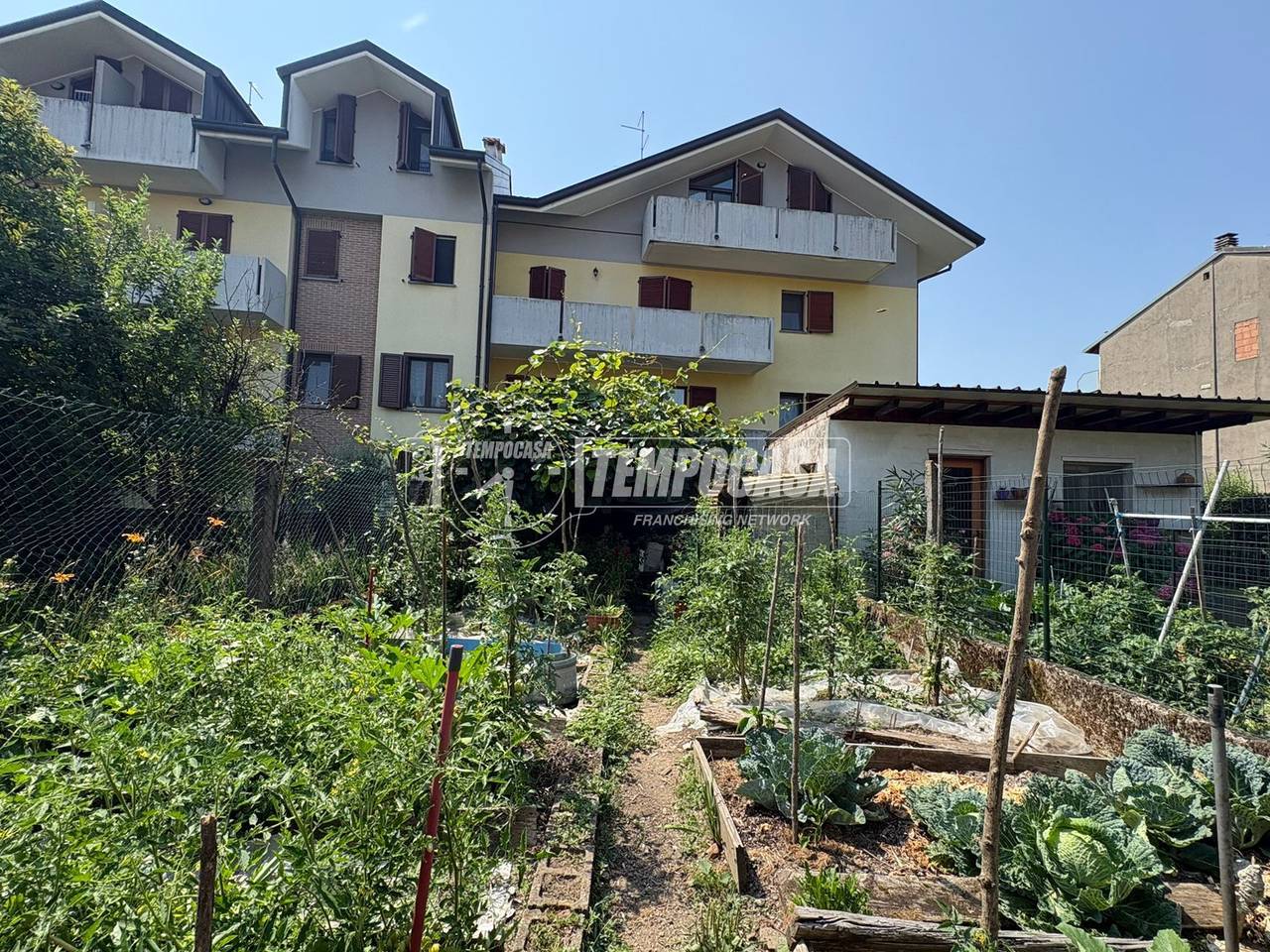 immagine annuncio 9 di 12