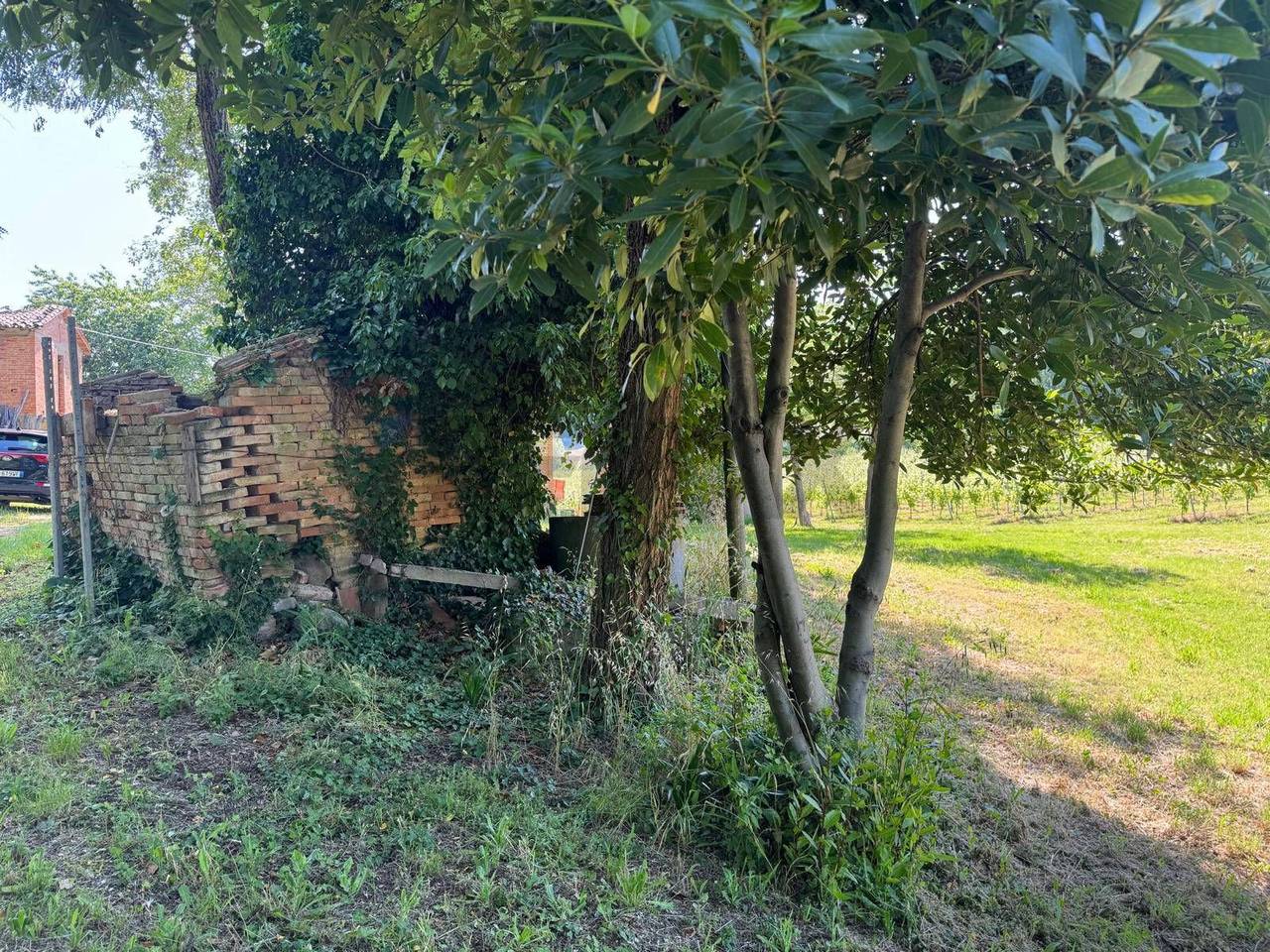 immagine annuncio 11 di 12