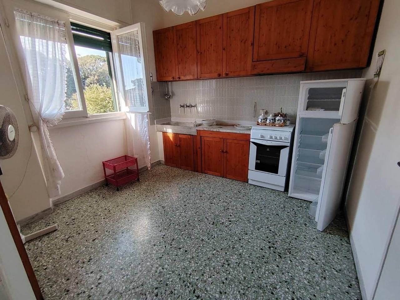 immagine annuncio 3 di 12