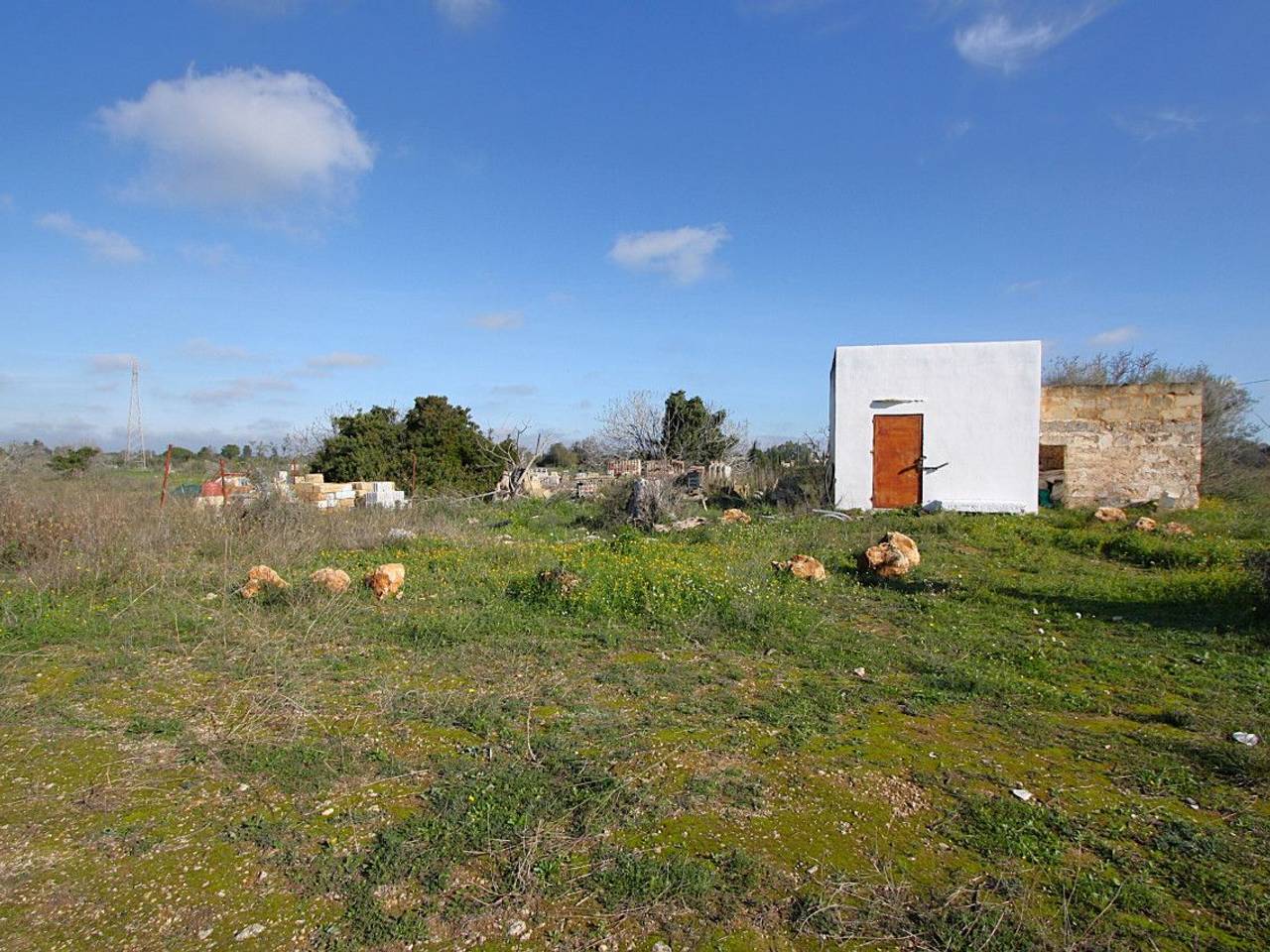 immagine annuncio 4 di 15