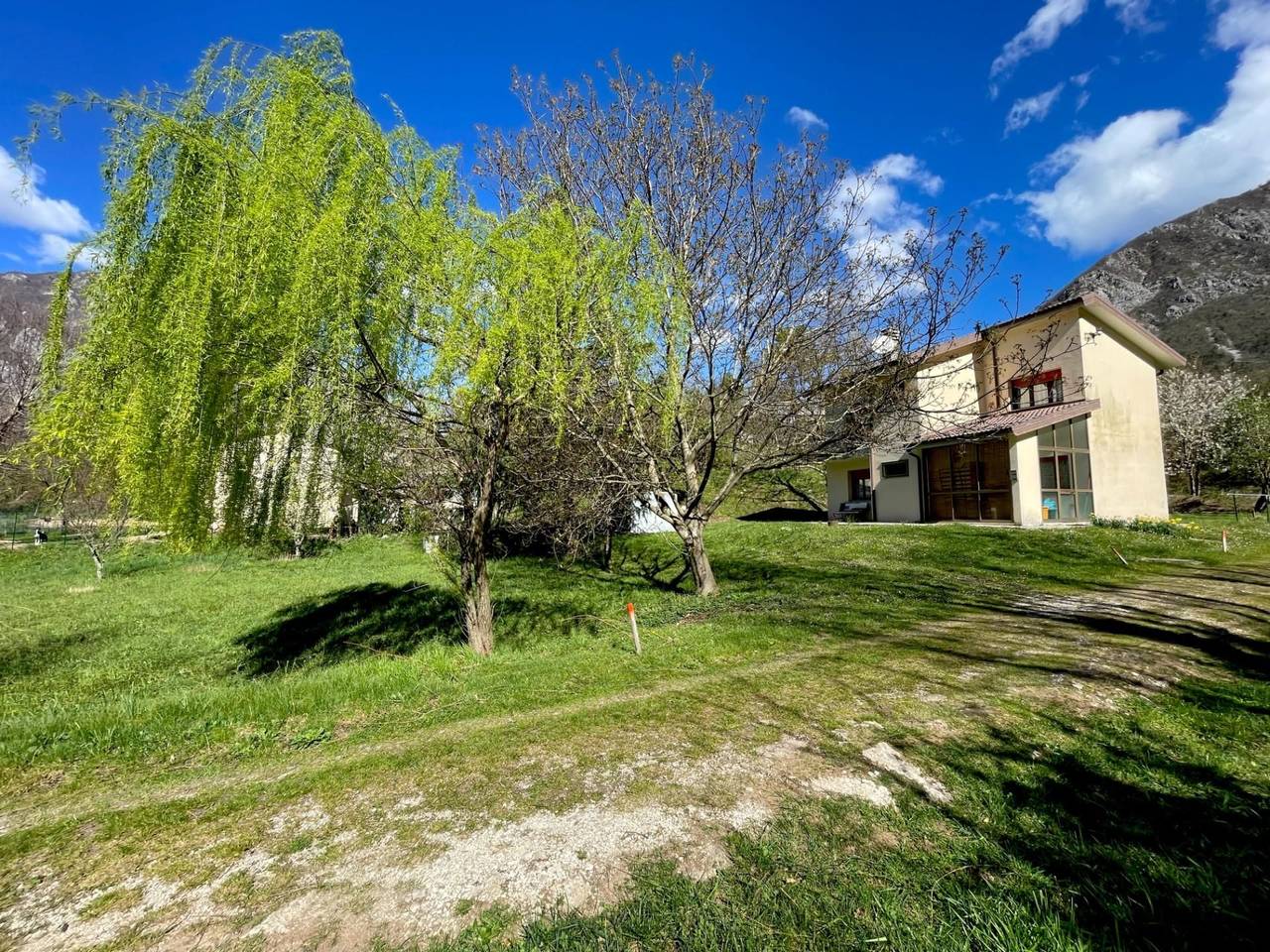 immagine annuncio 2 di 15