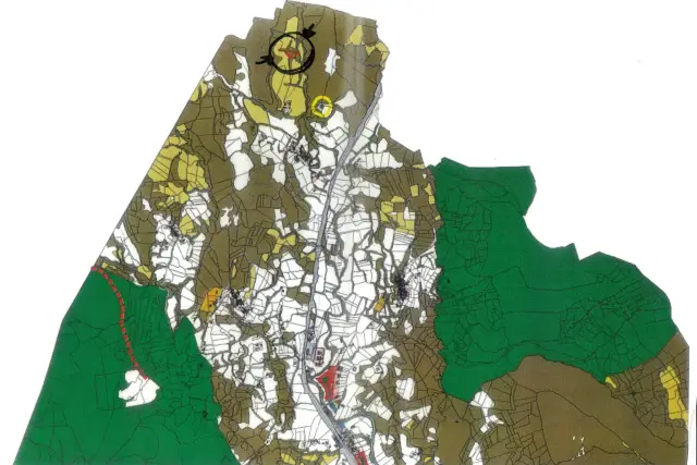 main planimetry real estate image